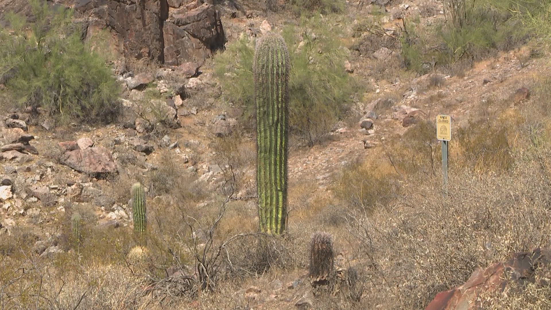 The chase began when the men were found shooting at a saguaro on a hiking trail.