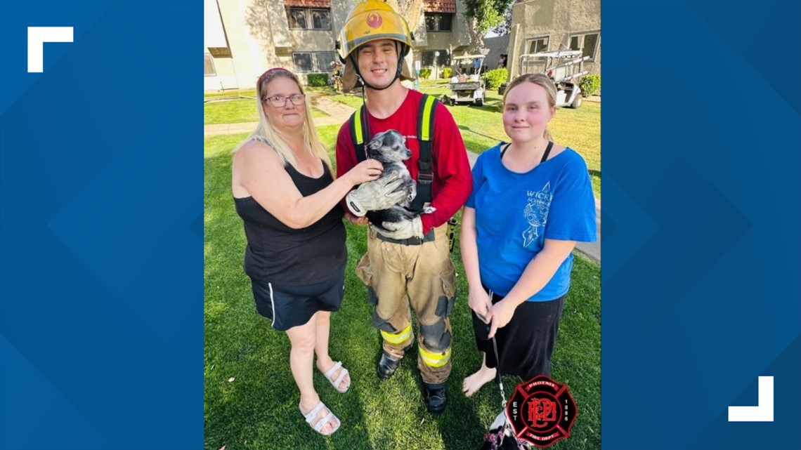 32 people displaced, dog rescued after apartment fire in Phoenix ...
