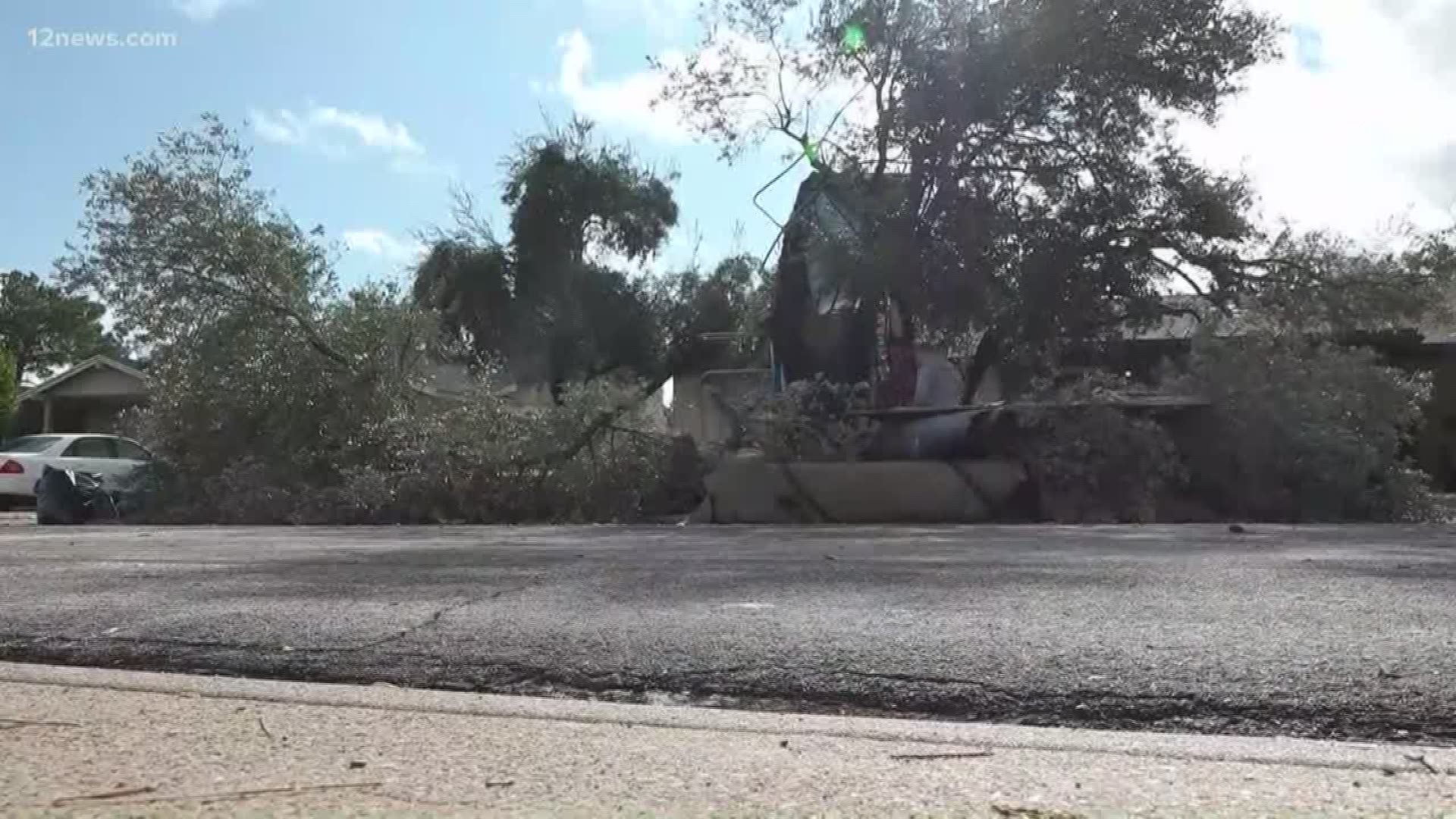 People were busy cleaning up downed trees and fixing their roofs after a strong storm moved through early Friday morning.