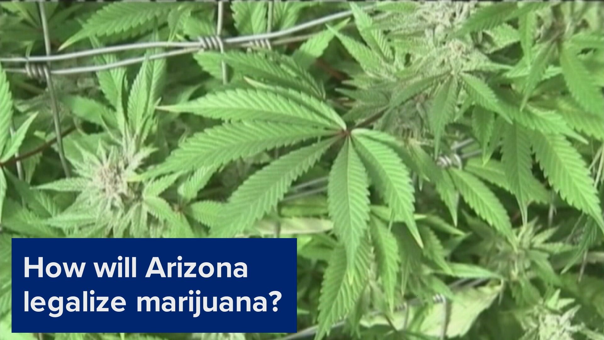 Arizona is expected to vote on legalizing recreational marijuana use again in 2020. There are two ways to do it: through voter referendum or a ballot initiative.