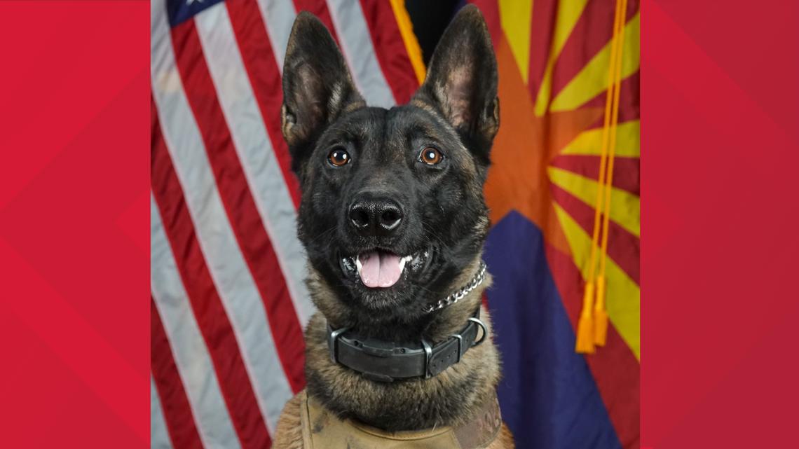 K-9 for Arizona police department dies 'unexpectedly'