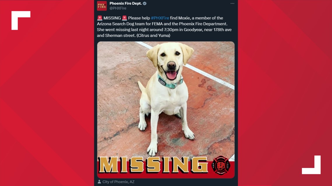 Search dog found safe after going missing in Goodyear - Vimarsana News