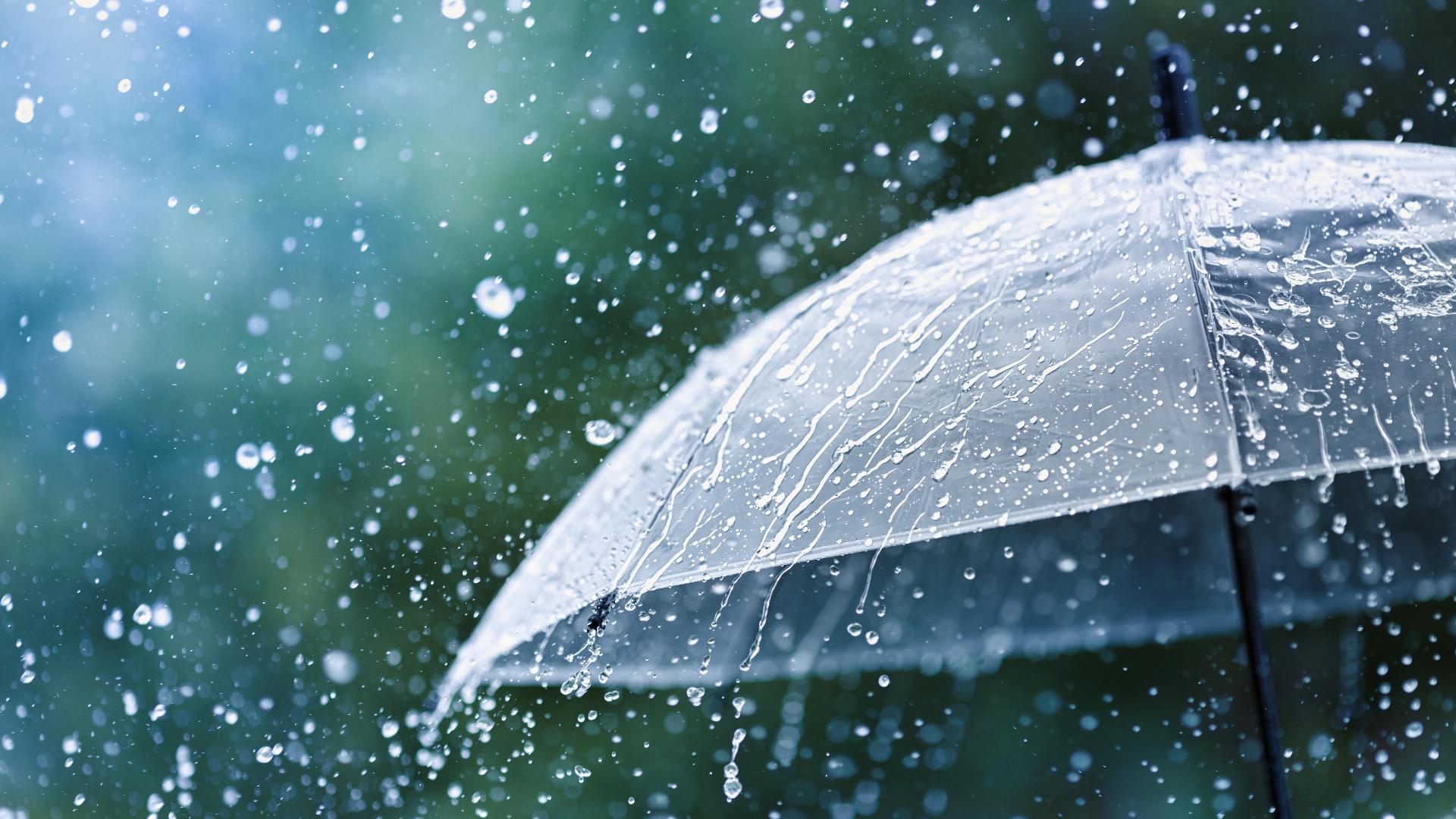 How much rain did the Valley get Tuesday morning? Here are the rainfall ...