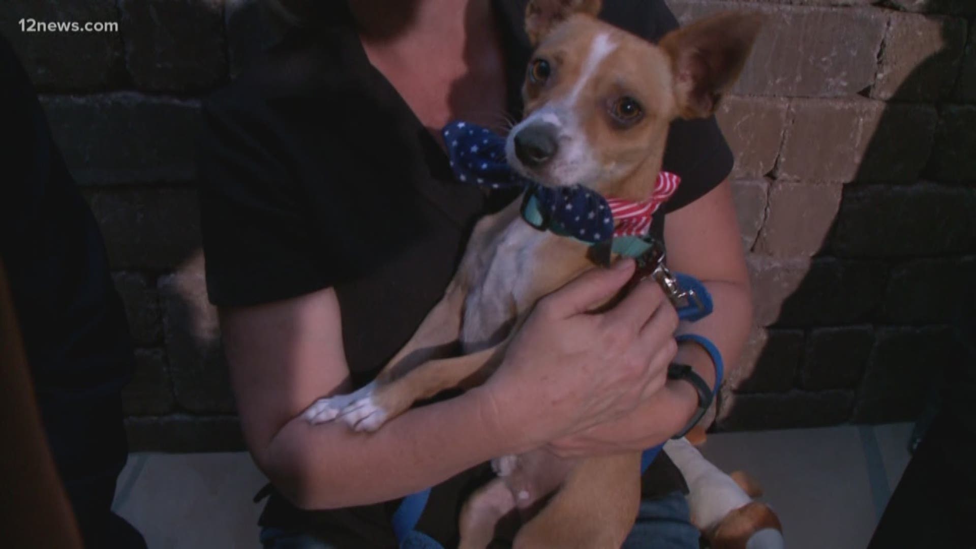 Fireworks are fun for us, but our furry friends aren't as thrilled by the loud noises. Melissa Gable from Foothills Animal Rescue gives us some advice on how to keep your pet safe over the holiday.