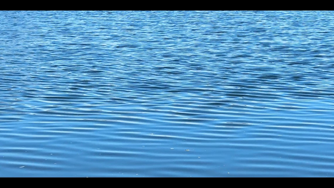 Golden Algae found in Community Fishing Program water systems - Vimarsana News