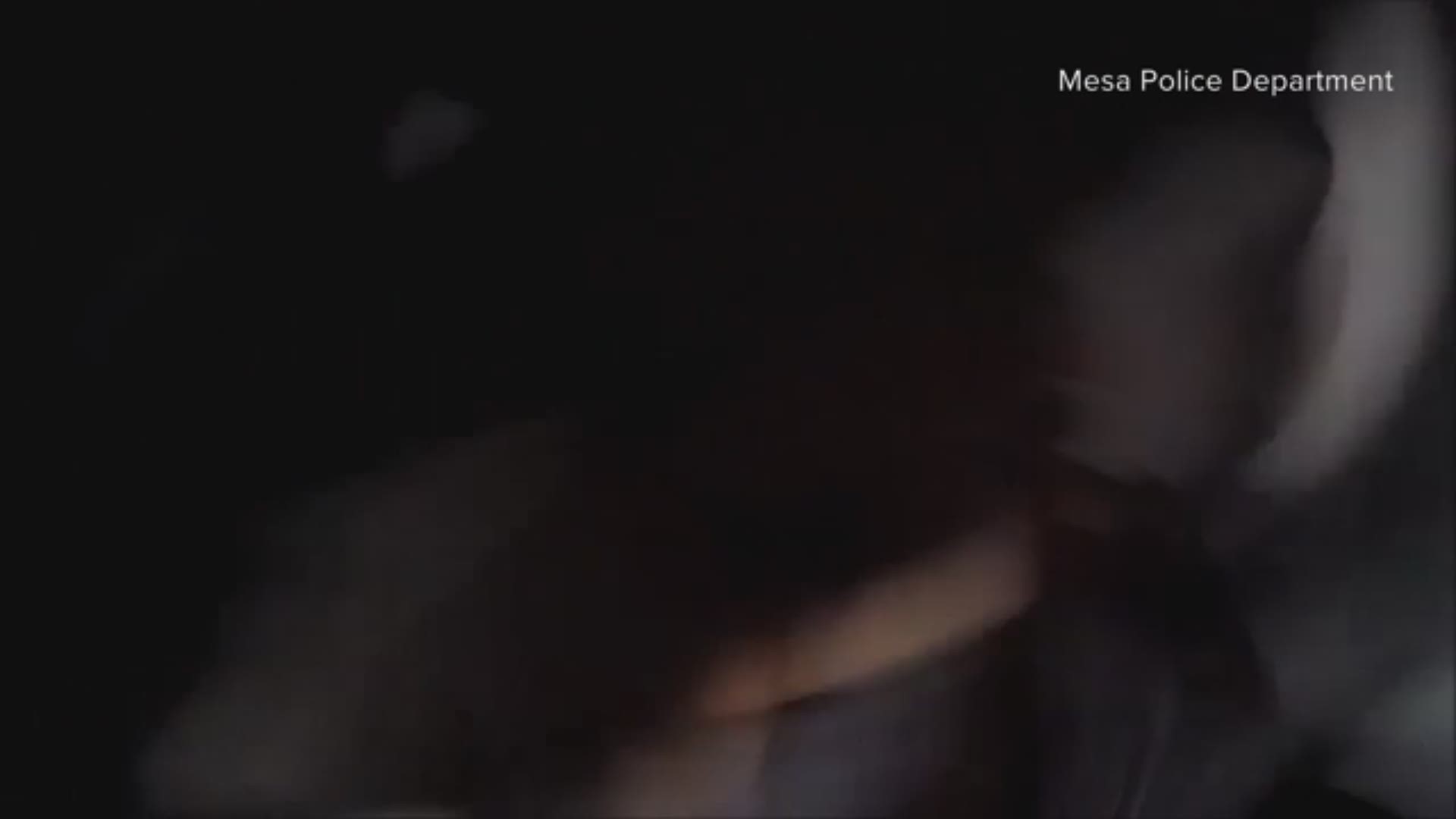 Mesa police officers repeatedly punched a man who did not sit down when they told him to during a domestic violence investigation. The man was a friend of the suspect.