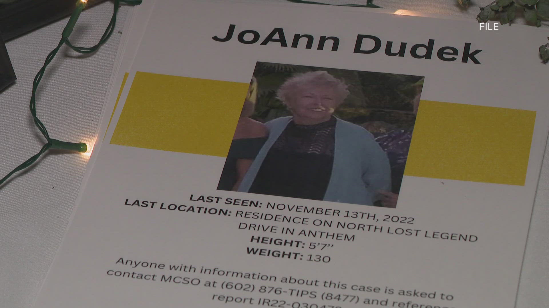 JoAnn Dudek’s husband last saw her on Nov. 13, 2022, at their home in a separate bedroom.