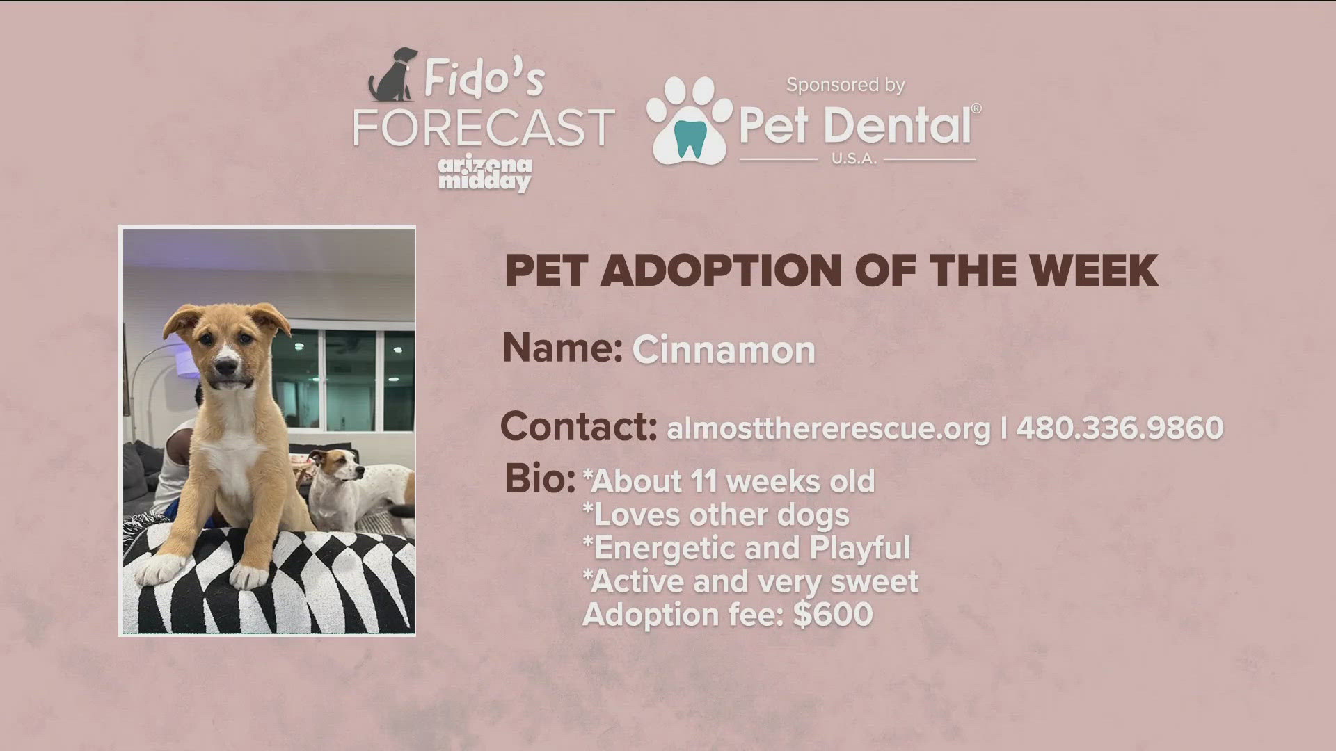 Almost There Mom + Pup Rescue brought in 11 weeks old Cinnamon to help find her “furever home” plus we get a look at this weekend's pawcast.