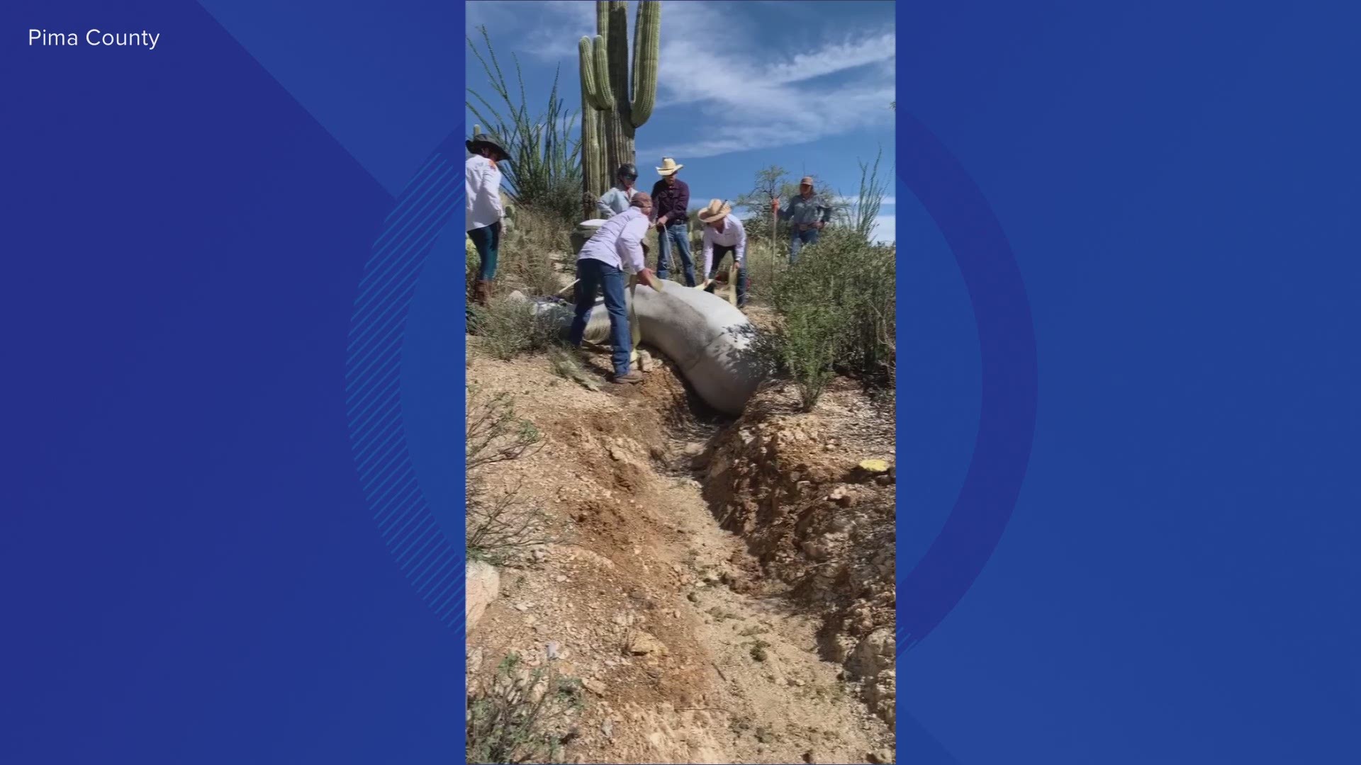 The horse was rescued and is doing well. The incident happened Sunday at Tanque Verde Ranch.