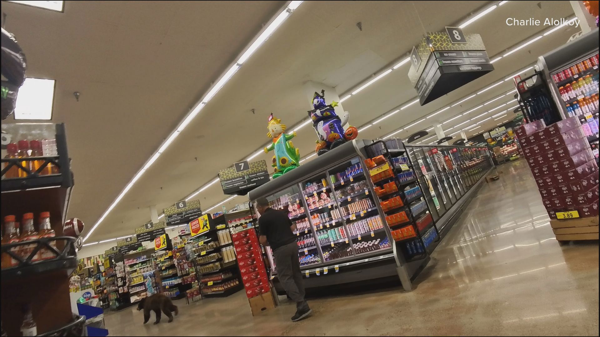 A bear made an unexpected visit to a Fry's grocery store in Oro Valley Monday morning. Video recorded by Charlie Alolkoy.