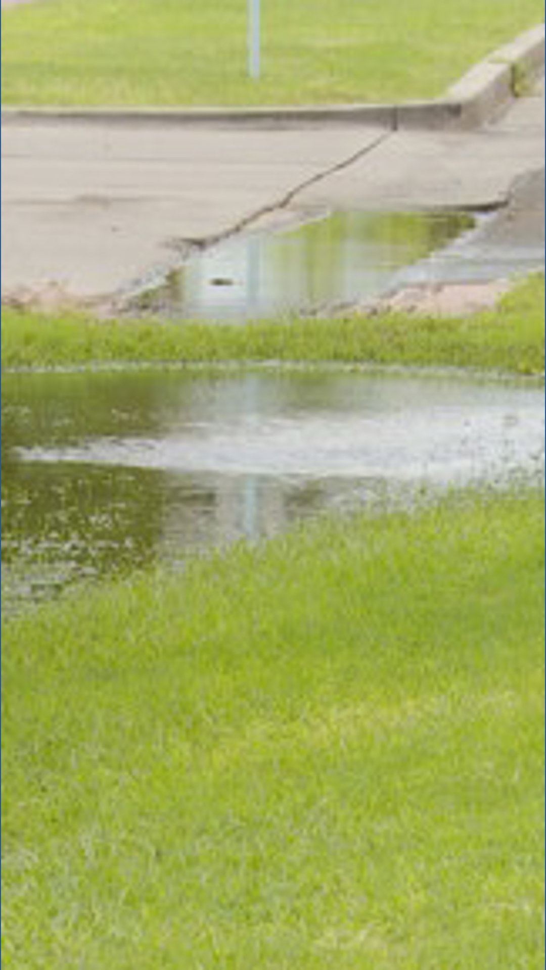 Storms expected to create uptick in Mosquitoes | 12news.com