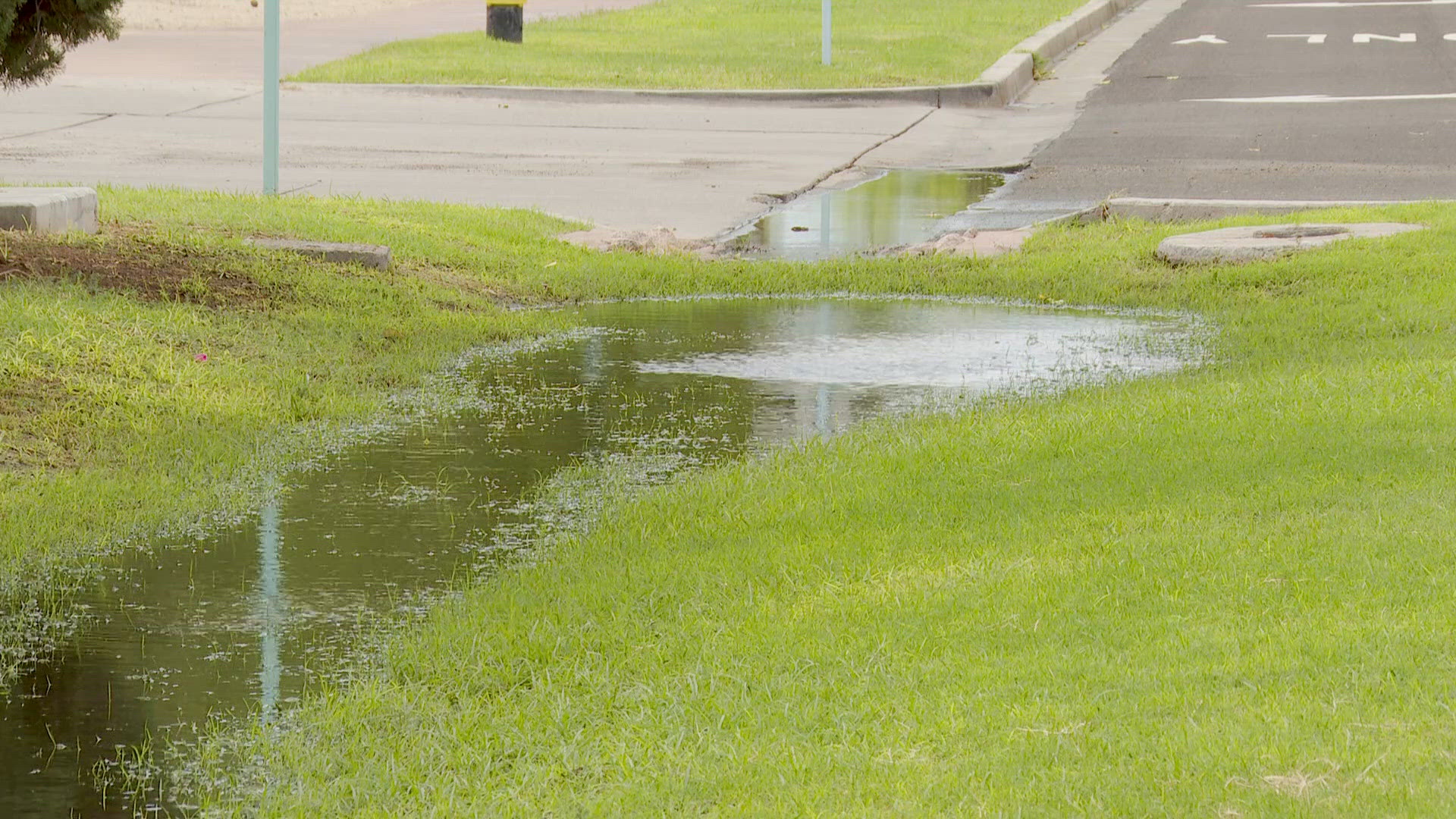 Storms expected to create uptick in Mosquitoes | 12news.com