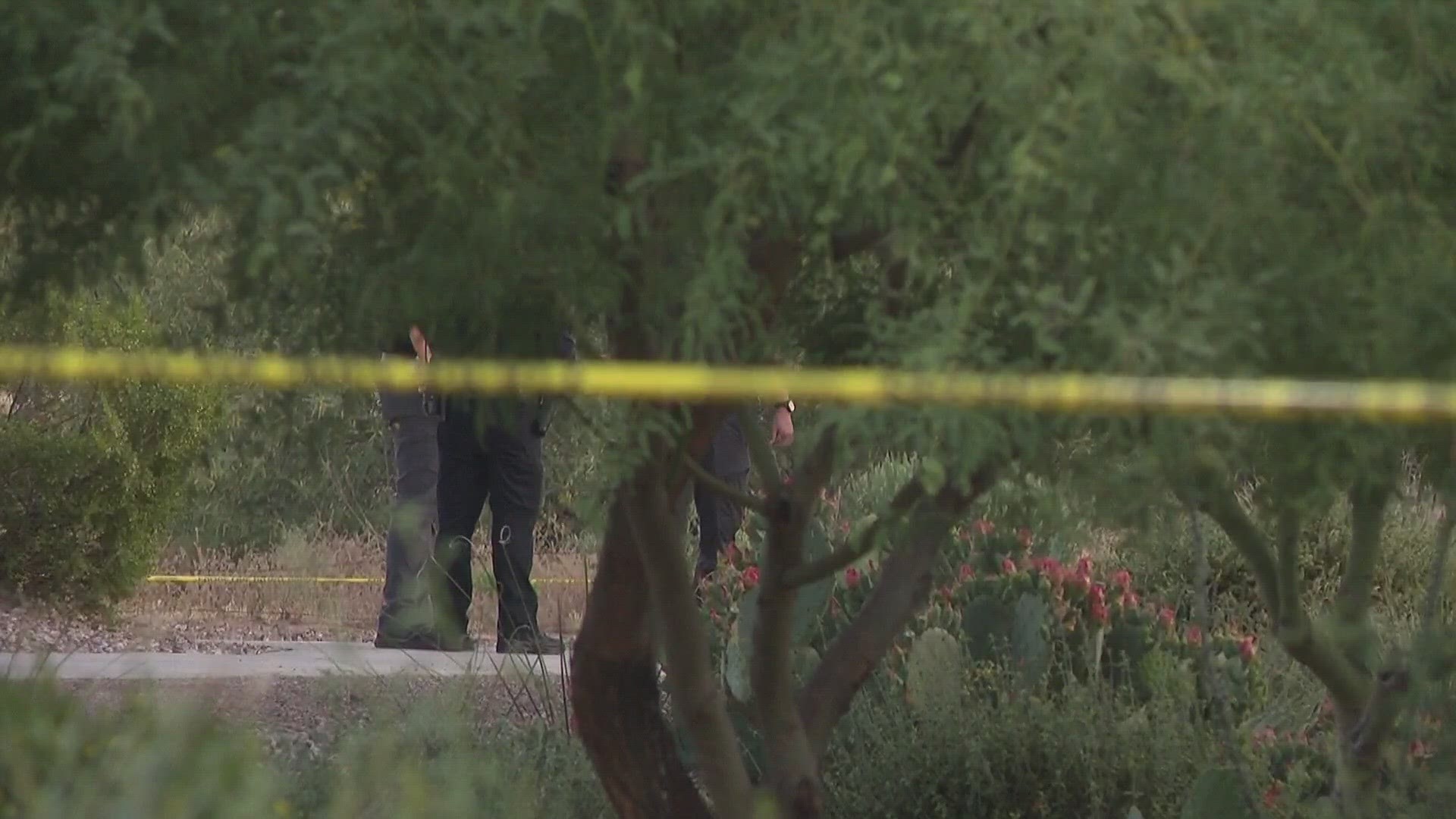 Twenty-nine-year-old Lauren Heike was found dead in a desert area near Scottsdale Road and Mayo Boulevard in north Phoenix.