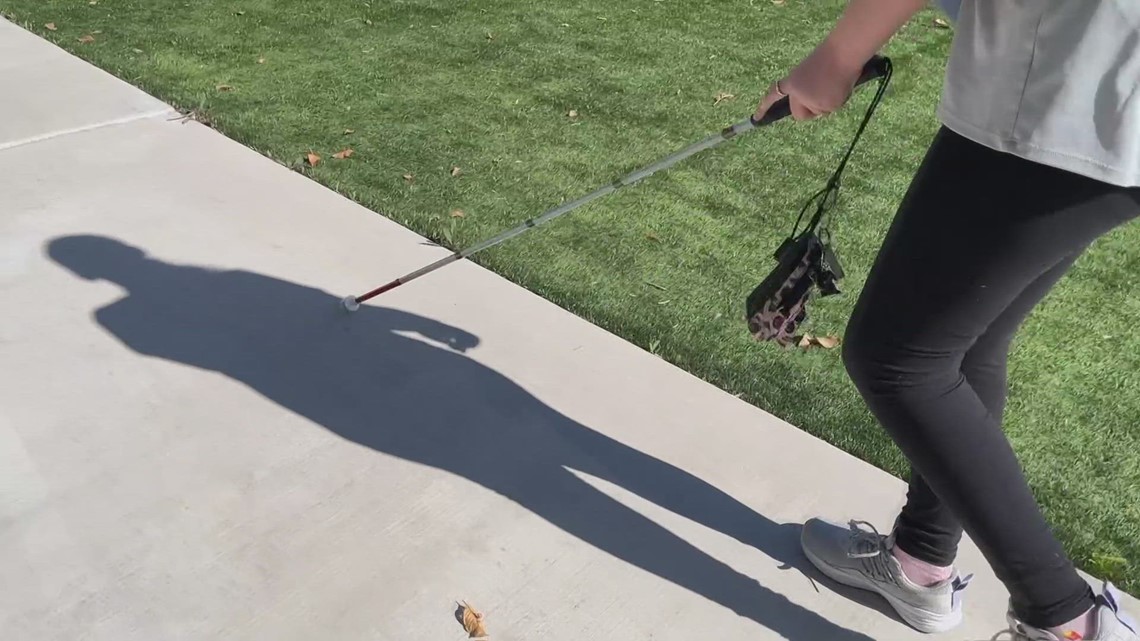 Cane Quest helps visually impaired children navigate surroundings - Vimarsana News