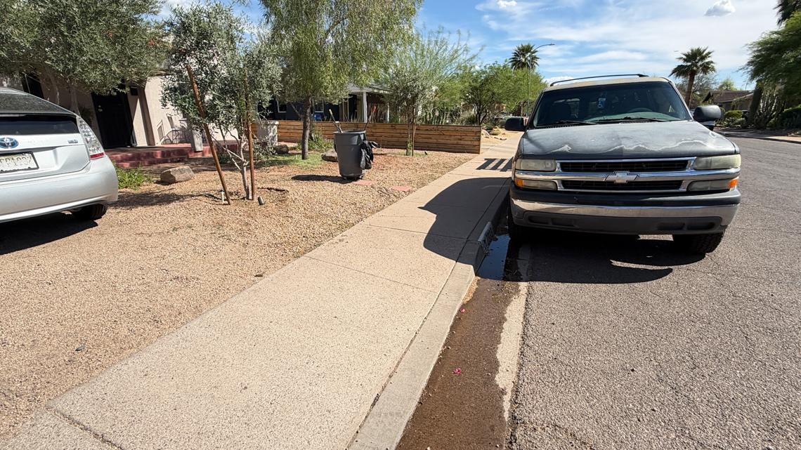 Man hospitalized after being stung by swarm of bees in central Phoenix