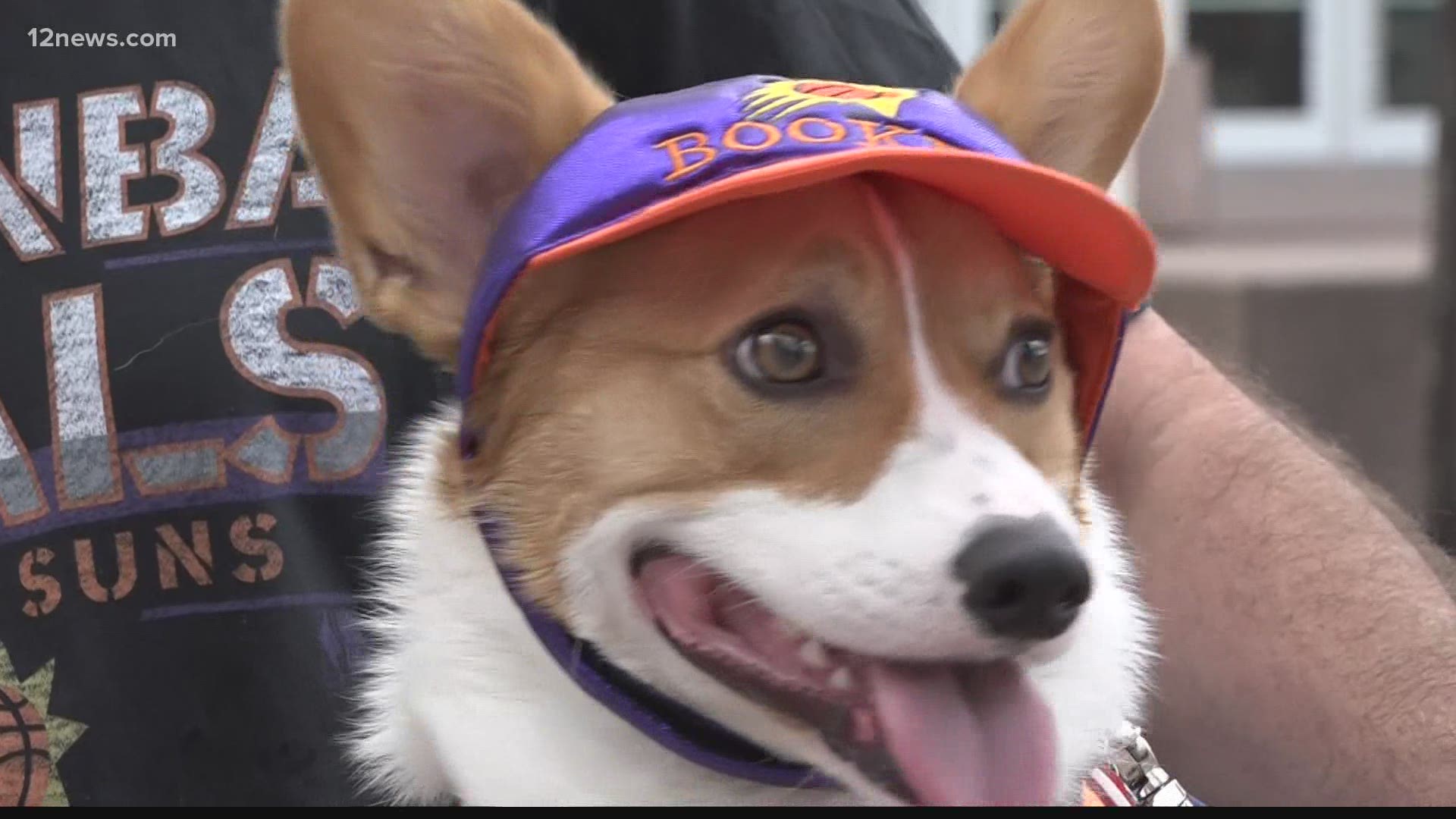 Bacon is a 17-month-old Corgi pup from Chandler, who loves the Suns just like the rest of his family.
