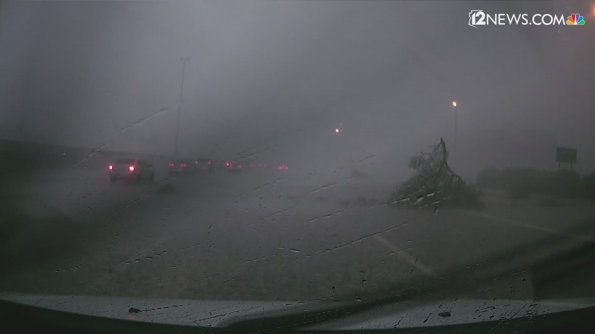 12 News was tracking the storm on I-10 when a tree branch blew onto the highway