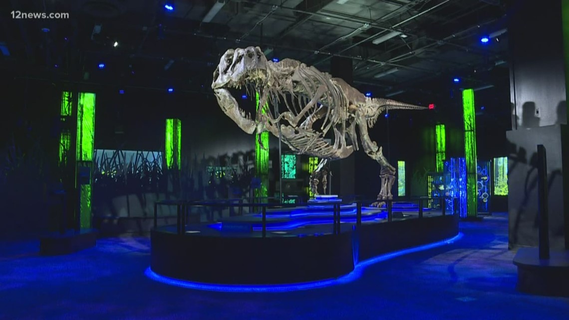 T-rex exhibit comes to Arizona Science Center | 12news.com