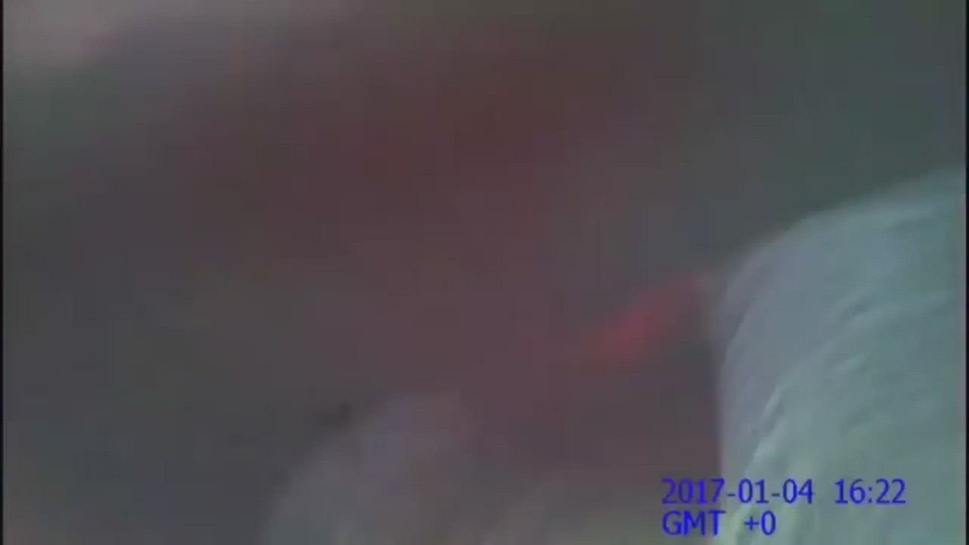 Phoenix police released body cam footage of the scuffle between police and a man who later died.