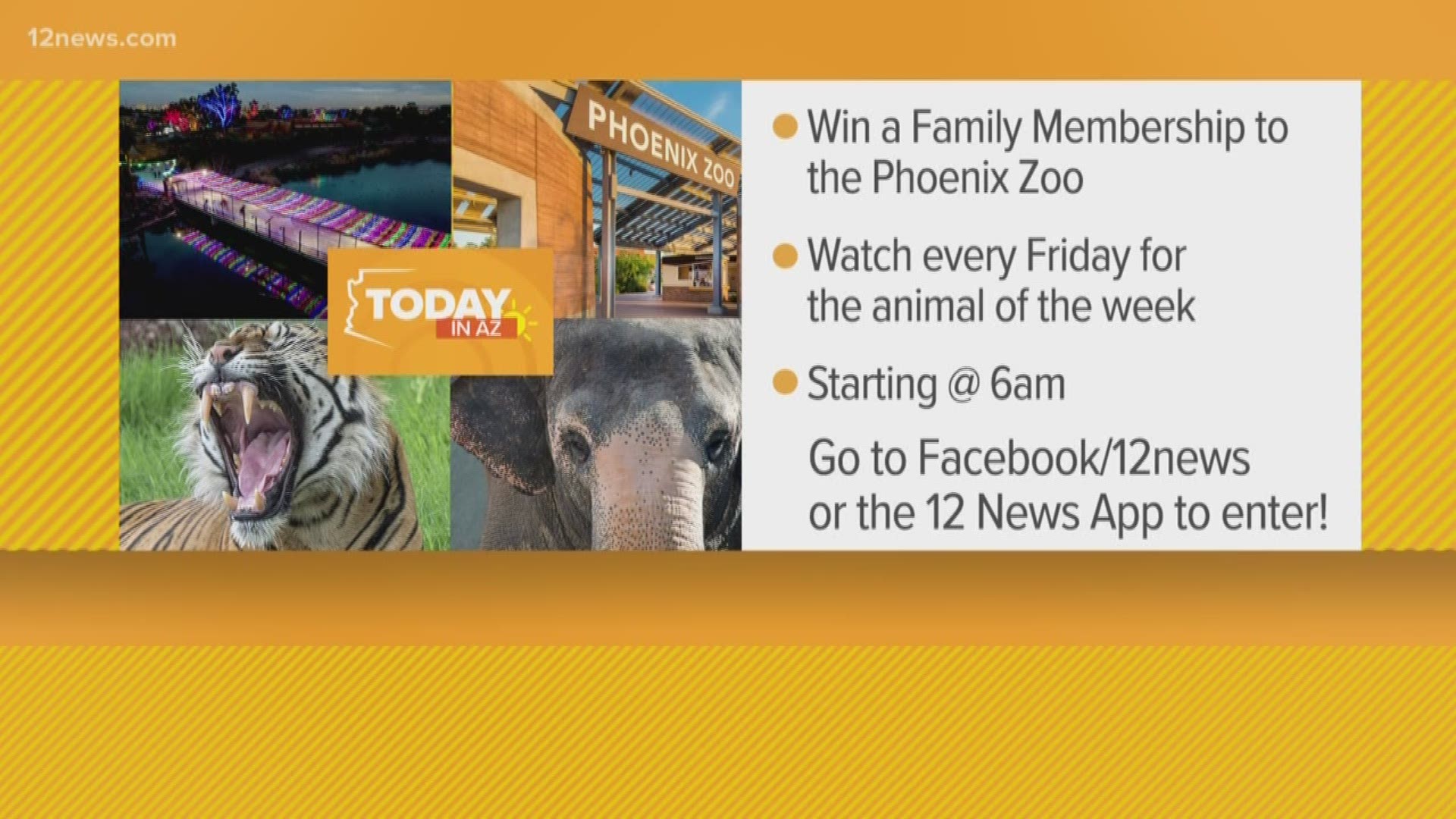 Here's how the animals are staying warm at the Phoenix Zoo. Enter to win a family membership on our Facebook page or our app.