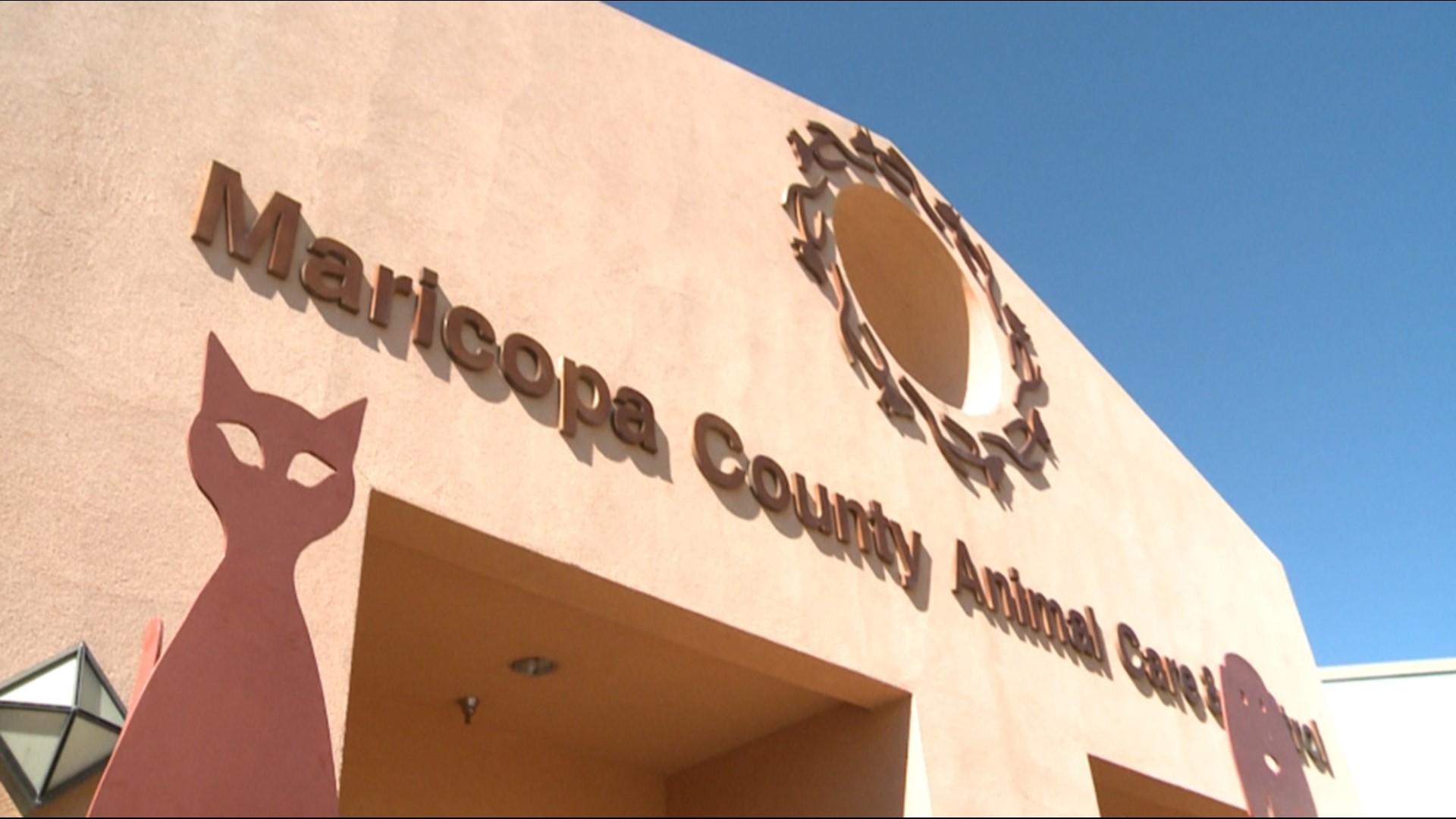 200 Animals Over Capacity At Maricopa County Shelter | 12news.com