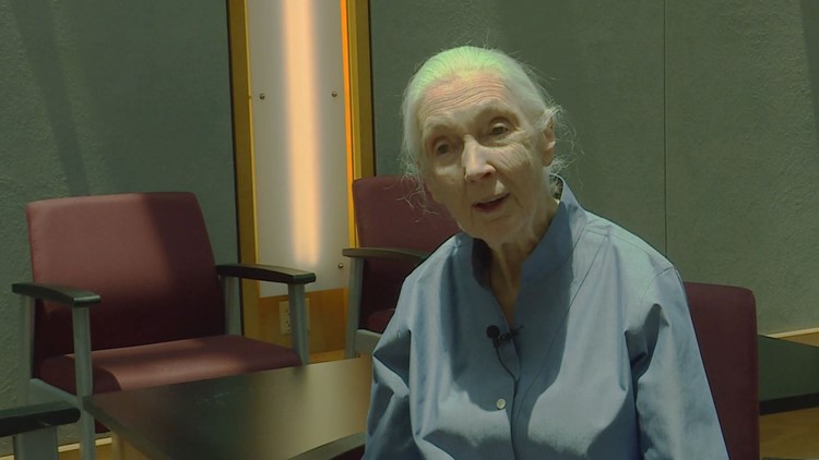 Jane Goodall's film starts playing at Arizona Science Center this weekend