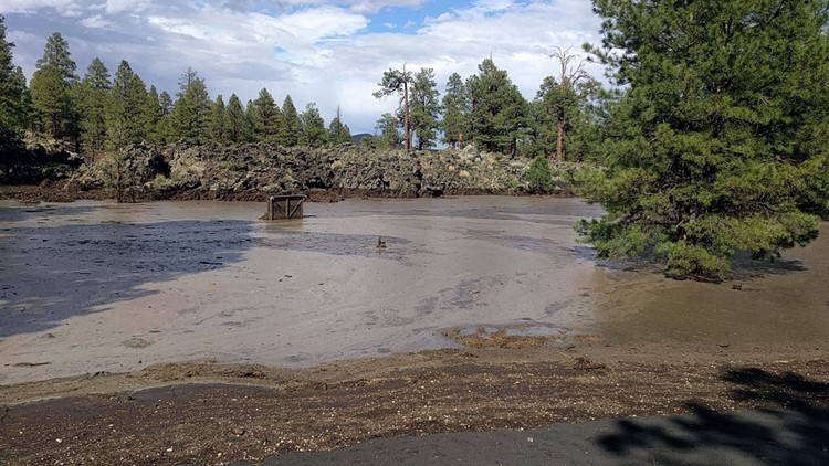 What comes after a wildfire? Photos show forest monsoon flooding near Flagstaff