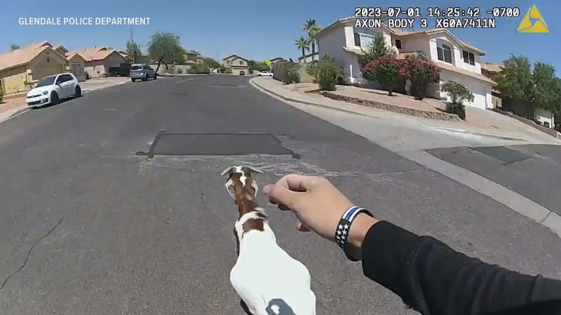 These officers were up to the task to help catch a pair of goats roaming a Glendale neighborhood.
