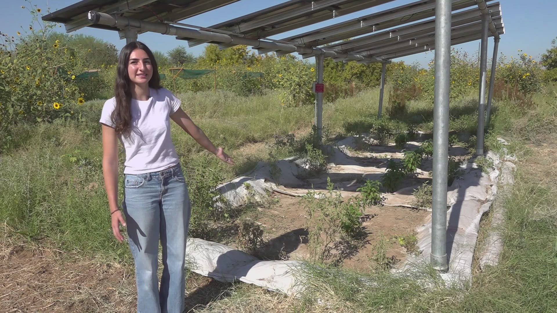 See how a Valley teen is using agrivoltaics to help farms be more efficient with their land in Arizona.