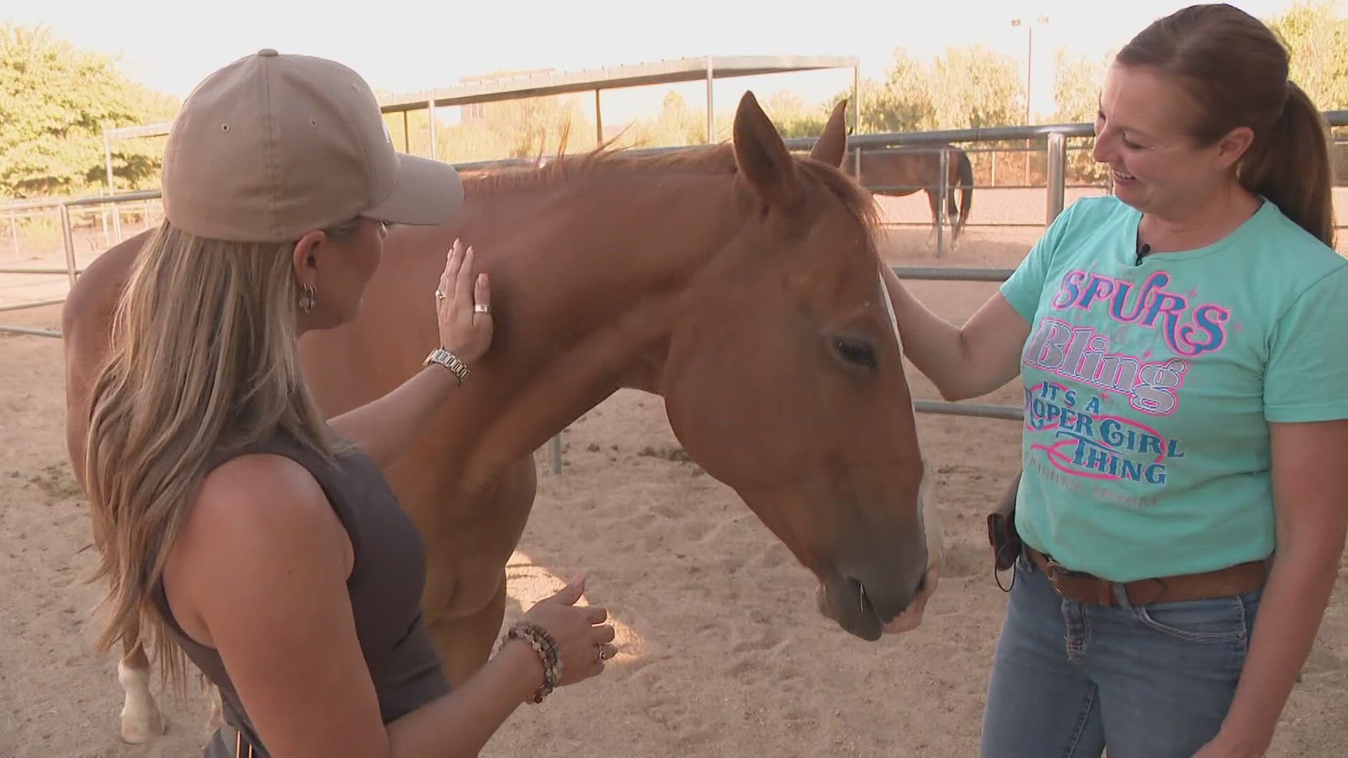 The fast-moving flames sparked fear in the 28 horses at the Almosta Ranch.