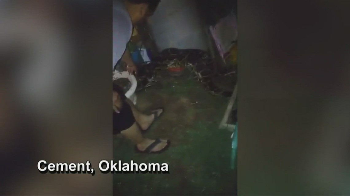 Huge python surprises teen NBC News | 12news.com