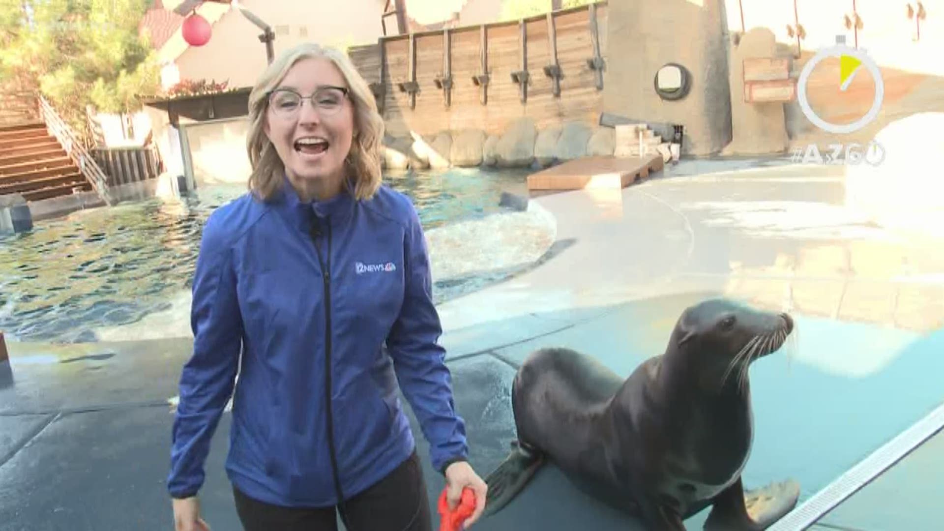 The sea lion exhibit at Wildlife World Zoo isn't just cute, it's important. Colleen Sikora has the story.