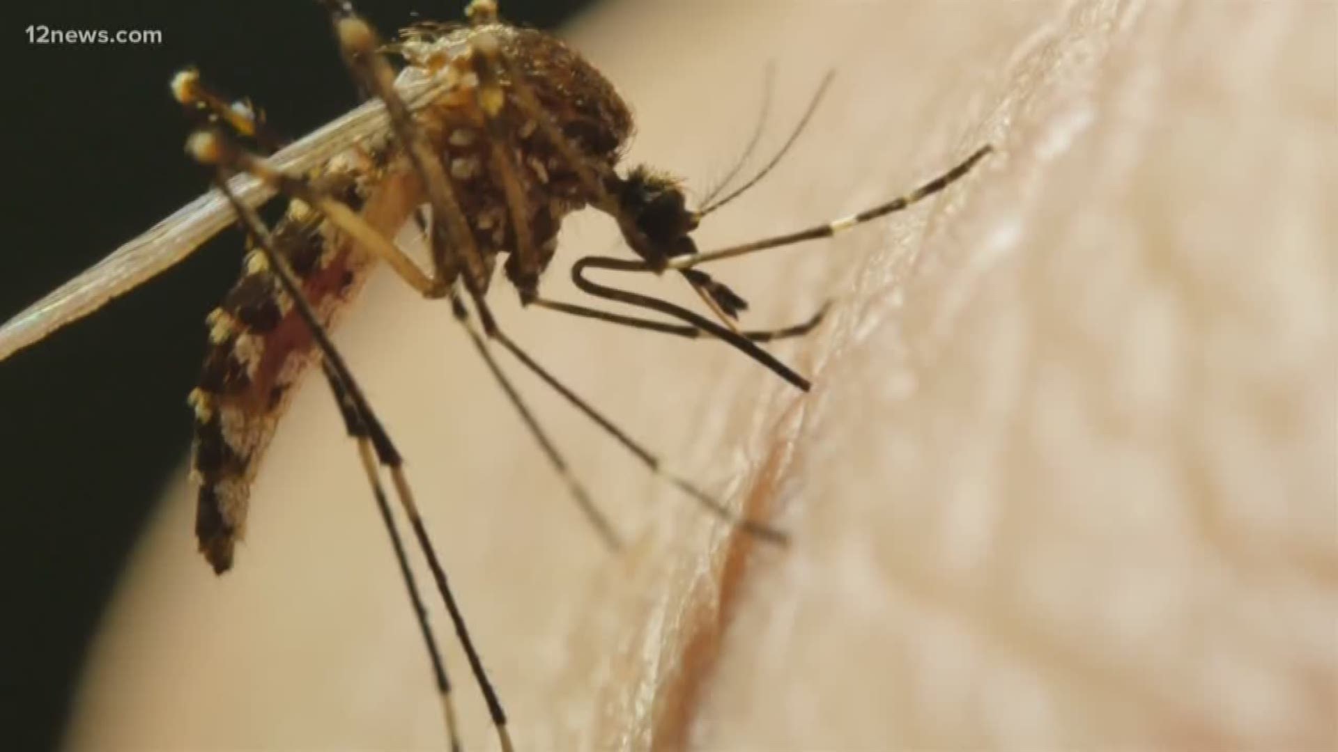 The latest samples show 87 mosquito samples came positive for West Nile Virus. At this time last year, there were just seven positive samples.