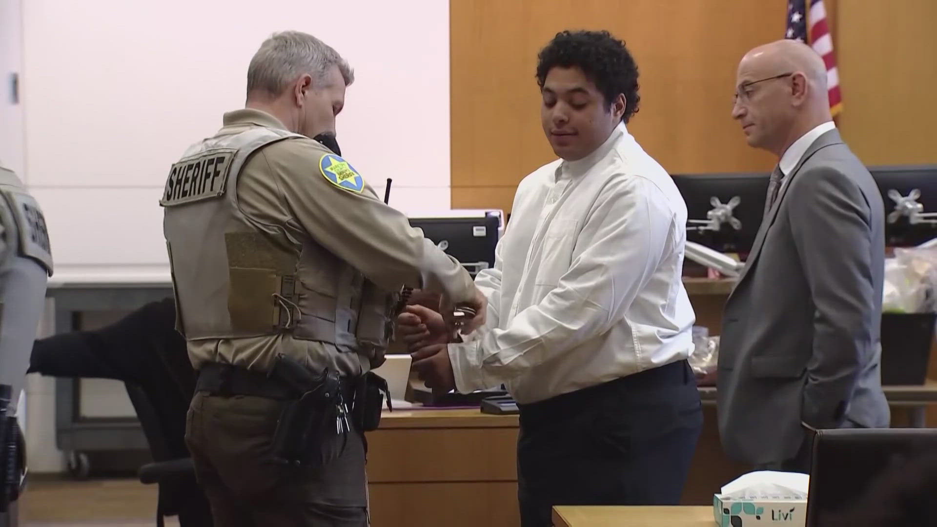 Ares Adle, who was convicted of killing his aunt when he was 14 years old, is set to be sentenced on Dec. 6.