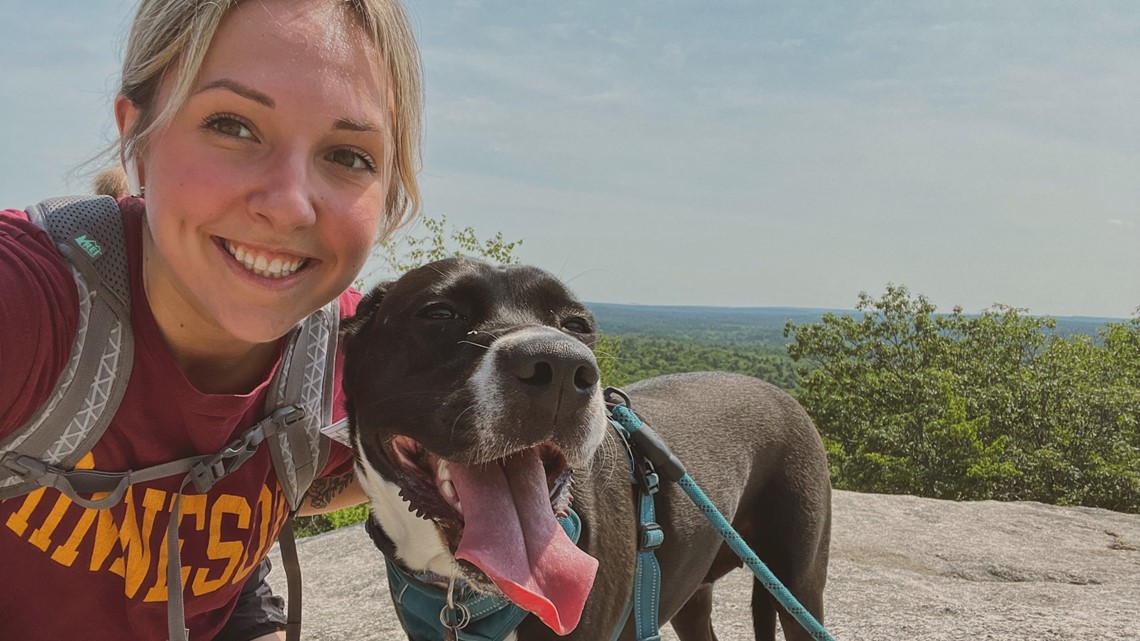 Arizona dog almost dies after eating chewing gum - Vimarsana News