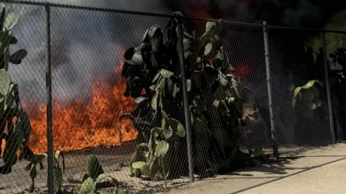 Animals safe after fire sparks near Wildlife World Zoo