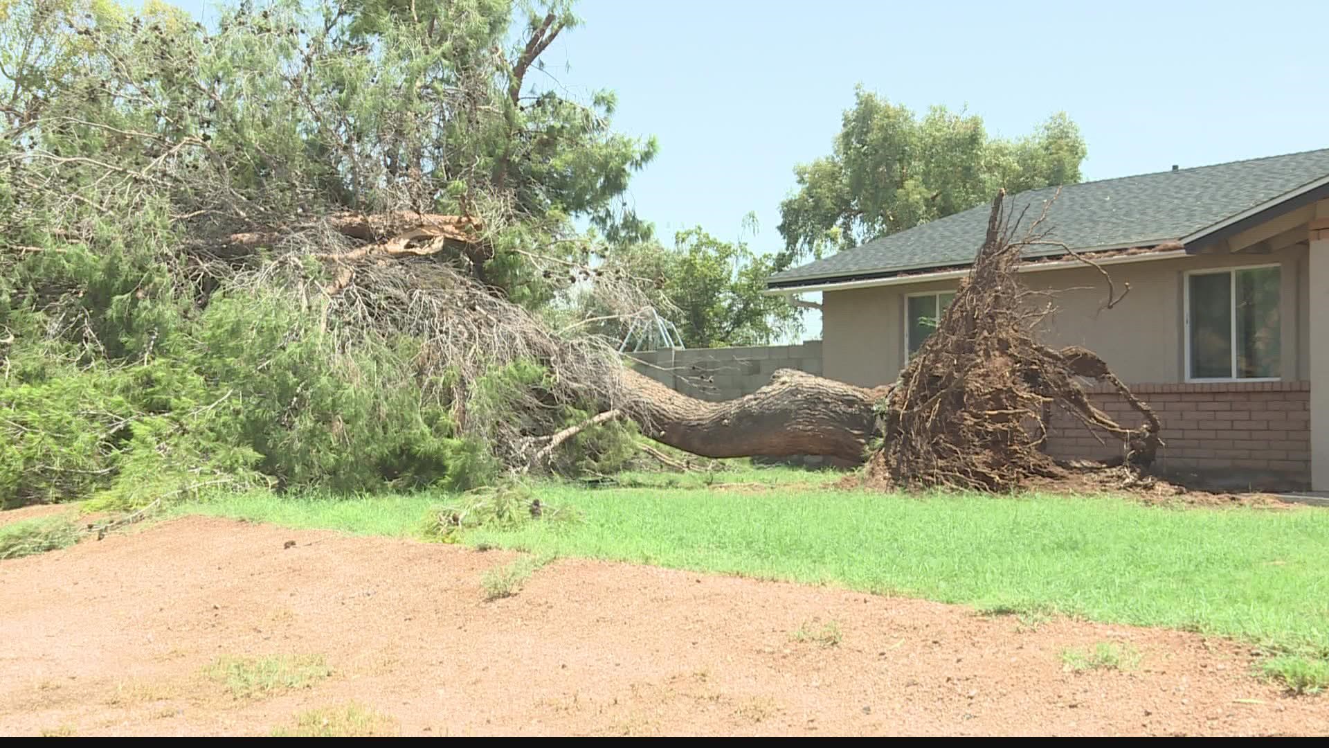 Wednesday's storm left behind a mess not only on the highway but also for homes and businesses. People in Mesa and Gilbert spent the day cleaning up the damage.
