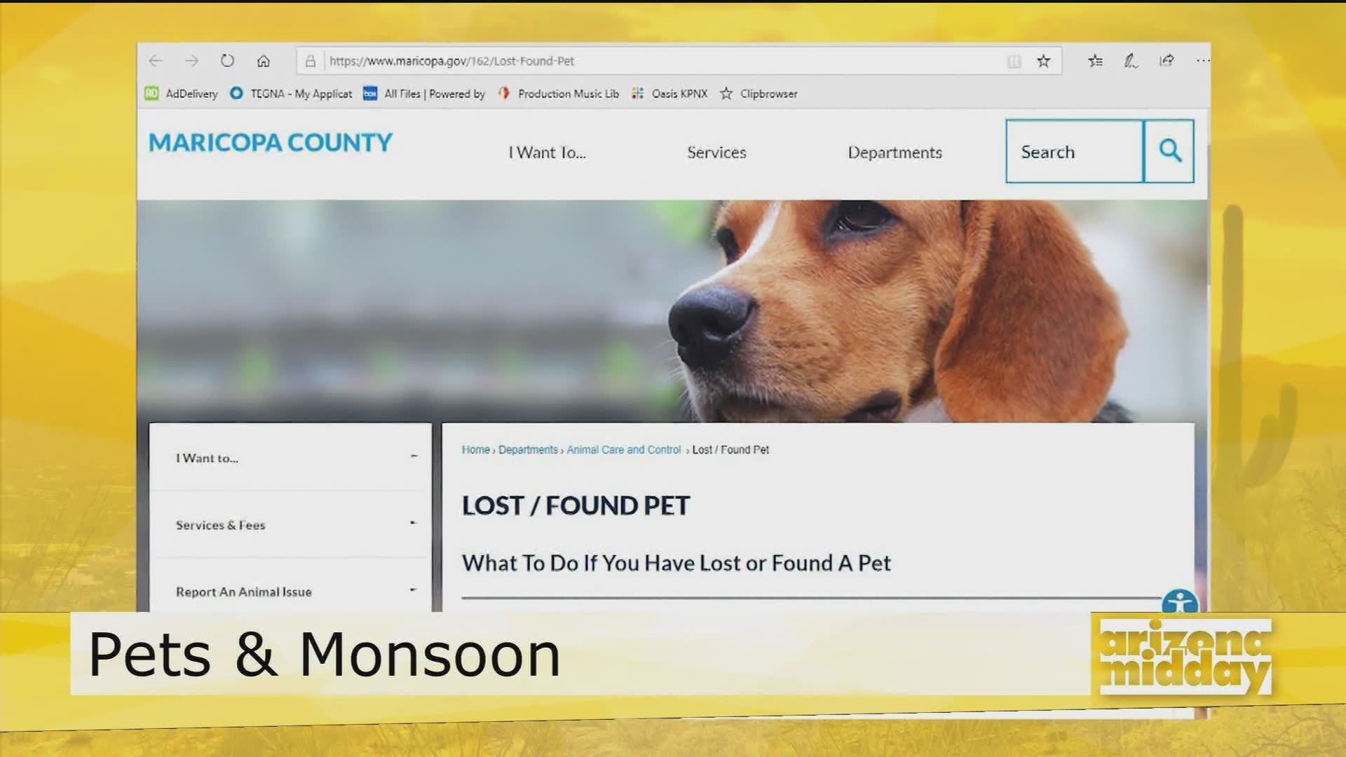 John Reynolds with Maricopa Animal Care & Control gives us his top tips to keep your pets safe during the storm and what to do if they are lost