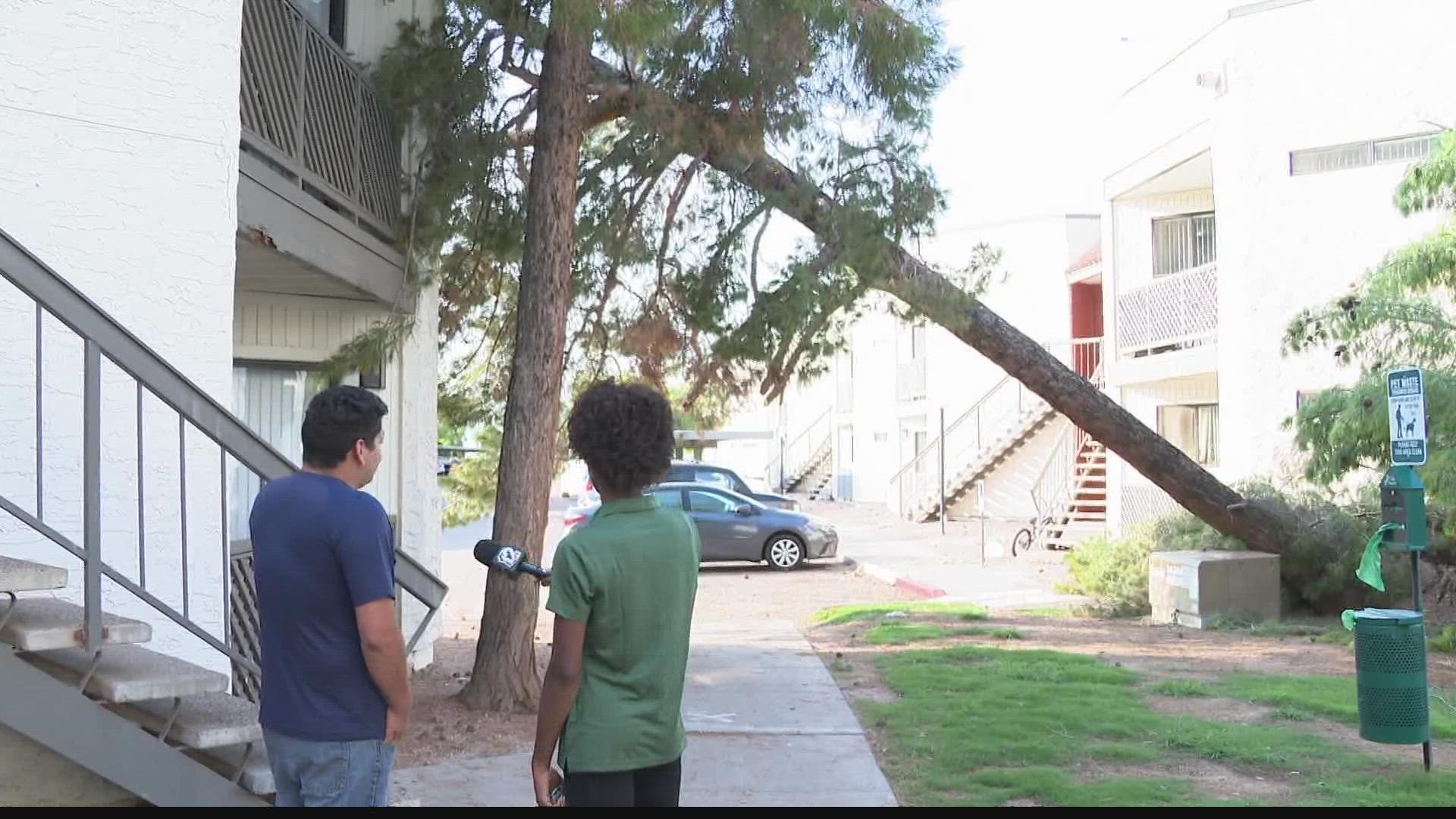 People in the Valley are facing cleanup and repairs after monsoon storms that rolled through over the weekend.