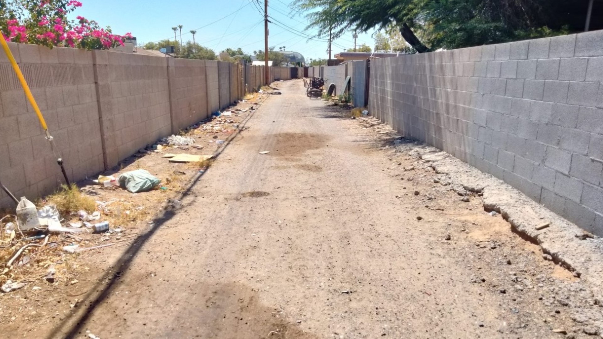 A newborn was found dead in west Phoenix near 33rd Avenue and Pierson Street around 5:45 a.m. Police believe the newborn was left there overnight.