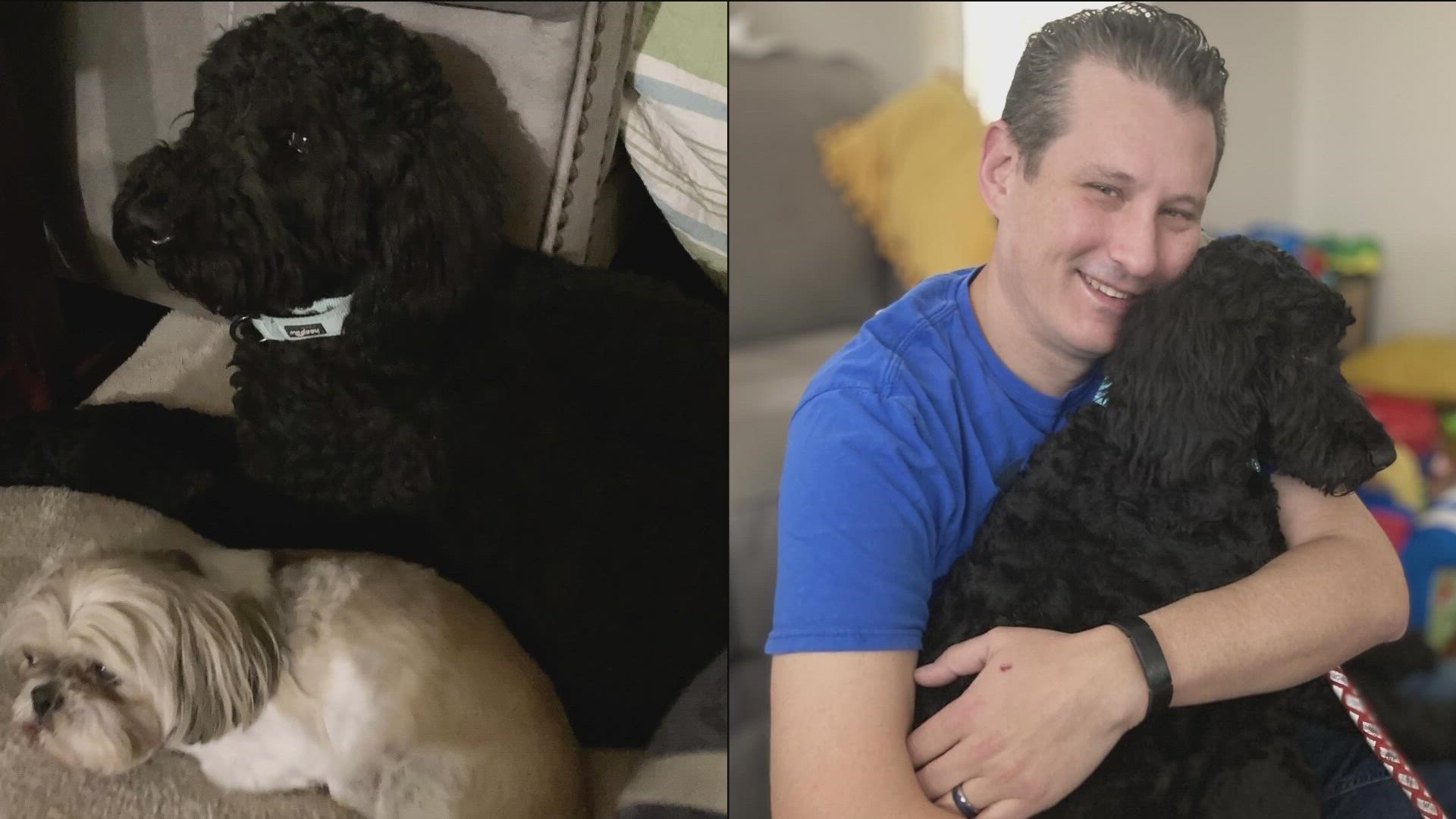 12News spoke with a couple of families who have become aggravated with an organization in charge of their foster dogs.