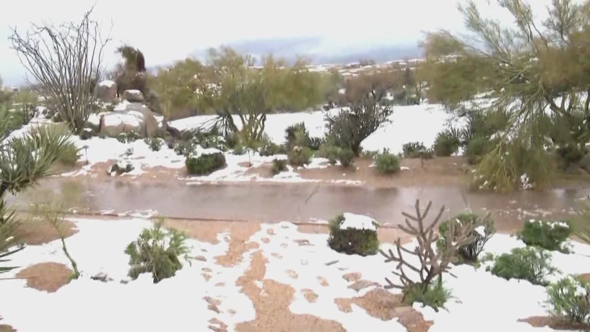 Believe it or not, snow that actually stuck is still covering the ground in Scottsdale. And it's the kind of snow that is great for making snowballs.