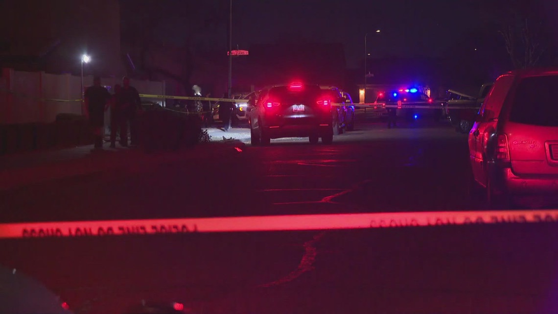 Phoenix police chief says officer fatally shot wrong person during a shooting involving officers in late-January