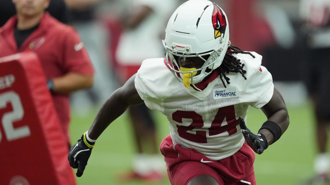 Arizona Cardinals lose defensive starter to season-ending knee injury in Training Camp