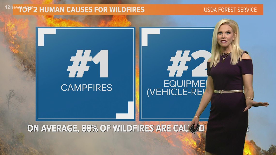 Arizona's first wildfire red flag warning of 2022 has been posted - Vimarsana News