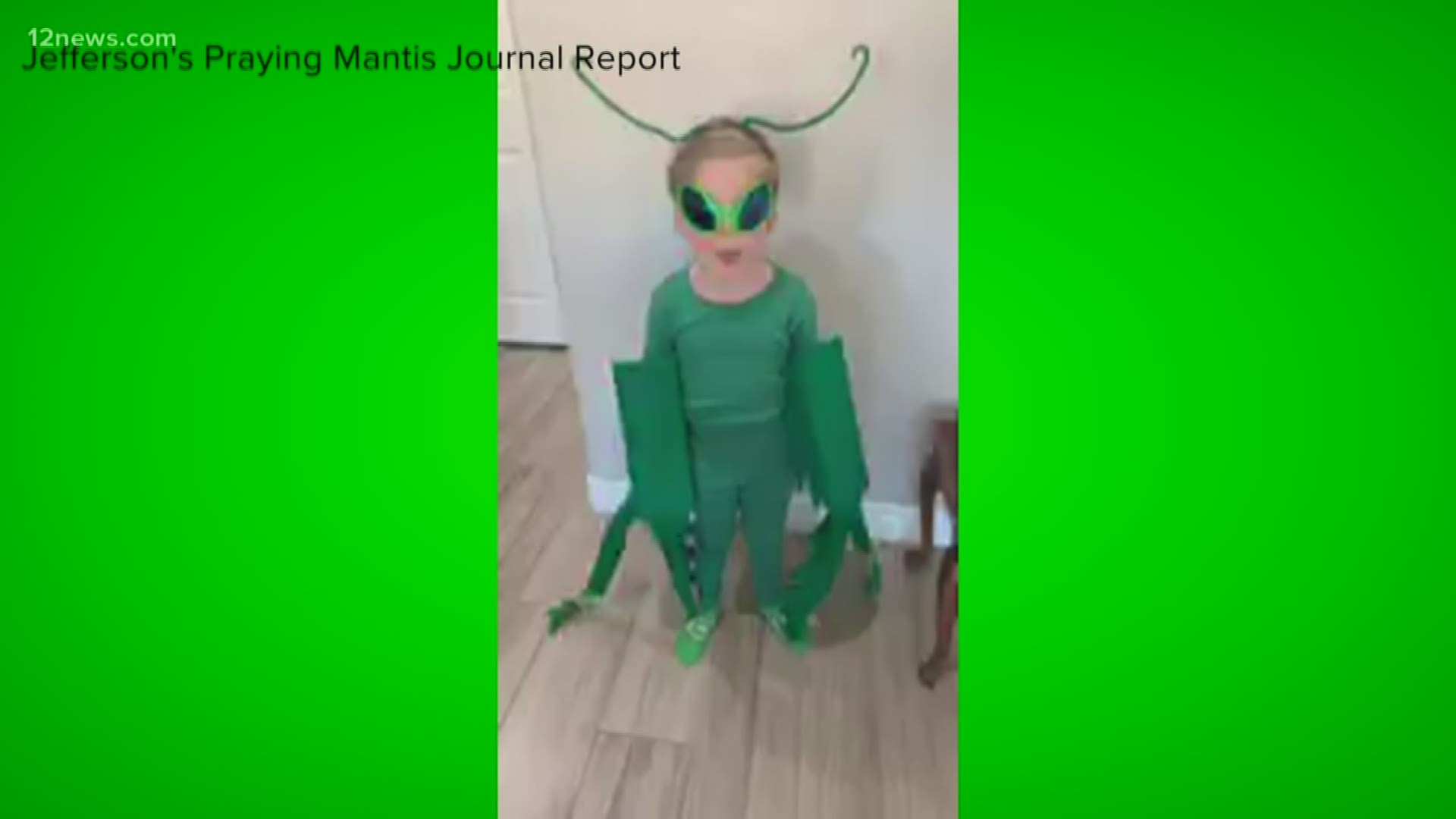 5-year-old Jefferson knows a lot about the praying mantis. And he is enthusiastically sharing his knowledge with the world through Facebook.