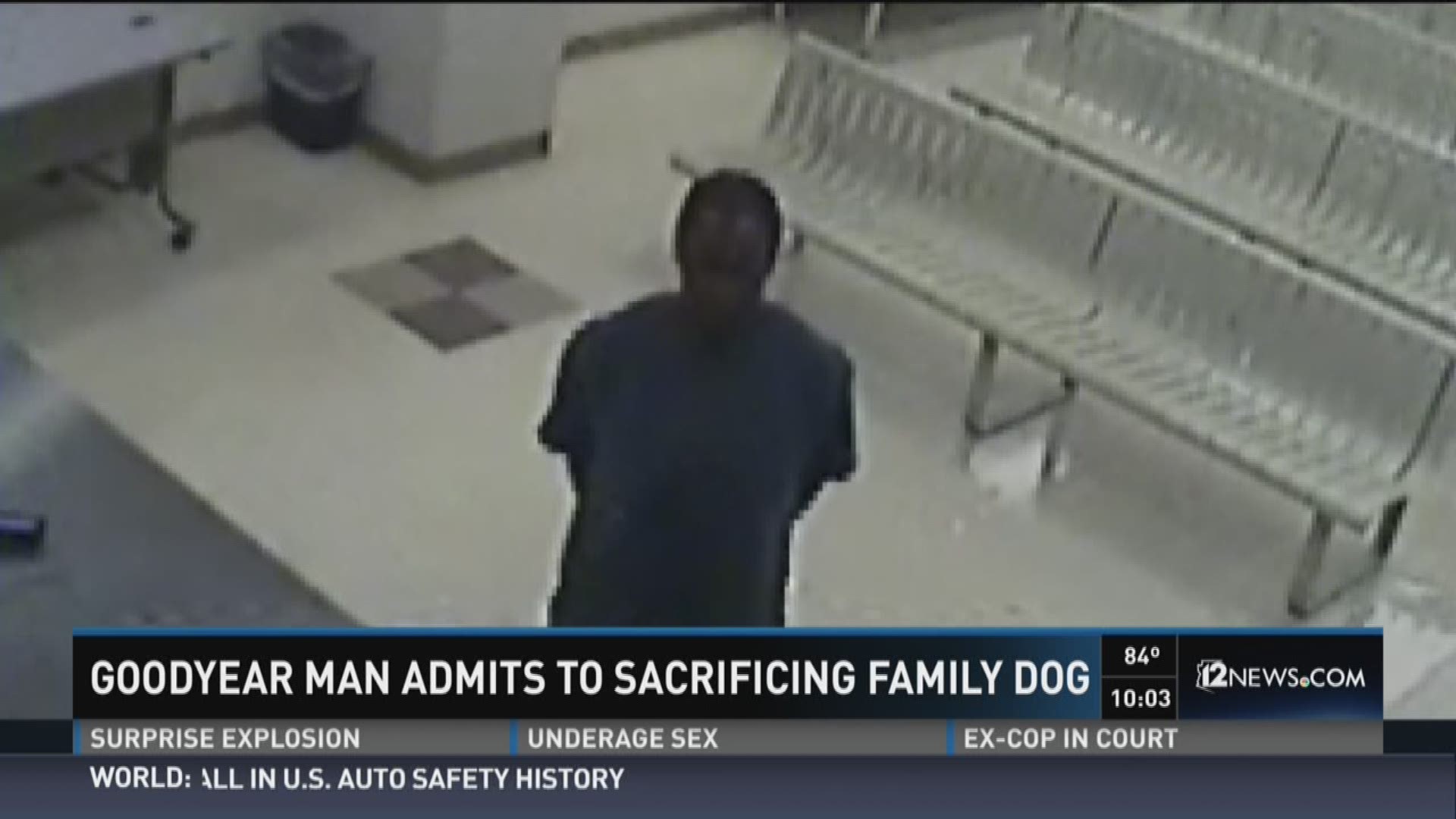 Goodyear man admits to sacrificing family dog