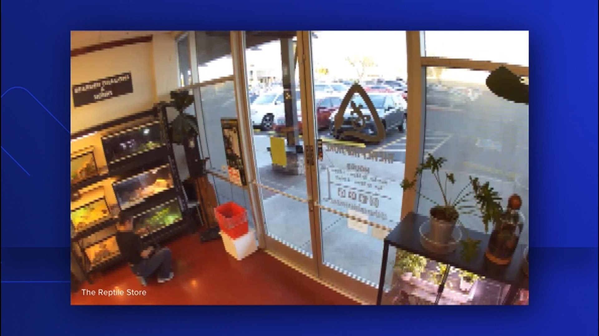 Surveillance footage that shows a woman stealing a bearded dragon from the store Feb. 27.