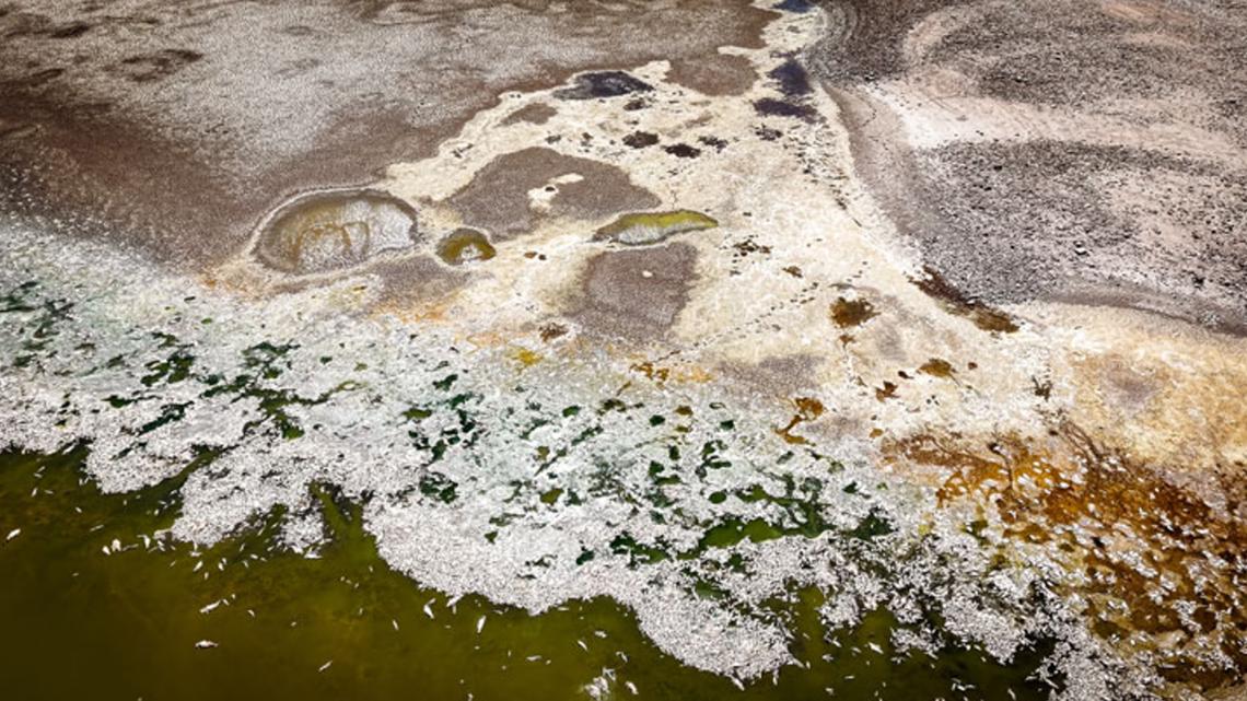 Why did all the fish die at San Carlos Lake? Drought...and water law, experts say