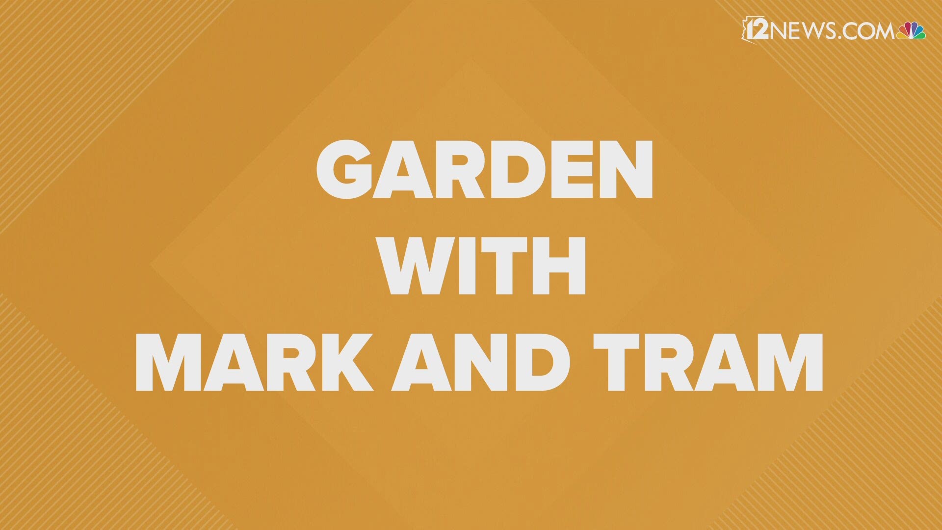 We checked in with our 12 News gardening enthusiasts Mark Curtis and Tram Mai for some tips to help you get started.